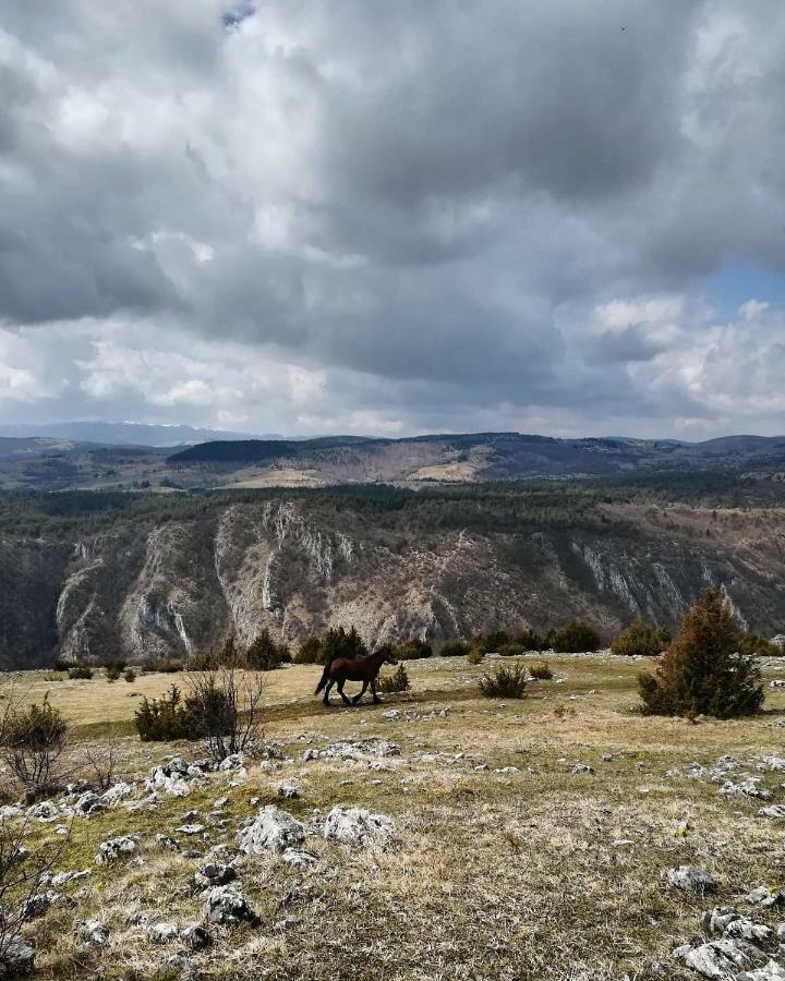 فندق Etno Domacinstvo Saponjic Nova Varoš المظهر الخارجي الصورة